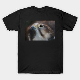 Saker Falcon T-Shirt